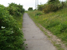 Image on trail