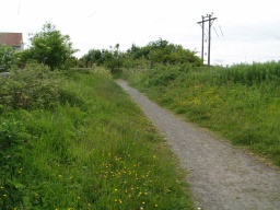Image on trail