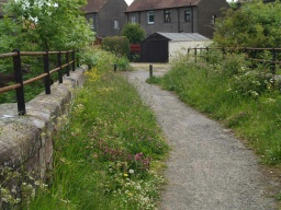 Image on trail