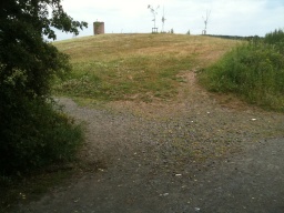 Image on trail