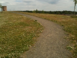 Image on trail