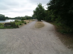 Image on trail