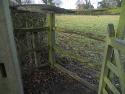 Image on trail