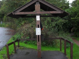 Image on trail