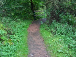 Image on trail