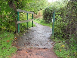 Image on trail