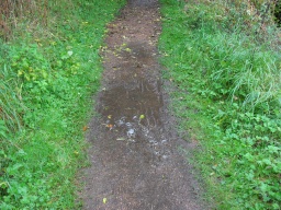 Image on trail