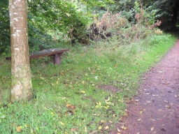 Image on trail