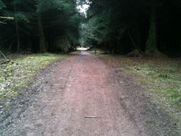 Image on trail