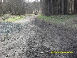 Image on trail