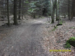 Image on trail