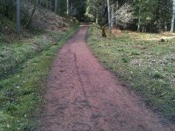 Image on trail