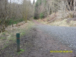 Image on trail