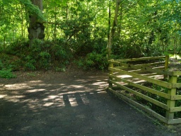 Image on trail