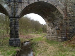 Image on trail