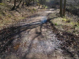 Image on trail