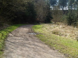 Image on trail