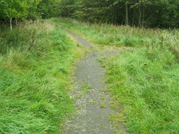 Image on trail