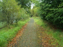 Image on trail