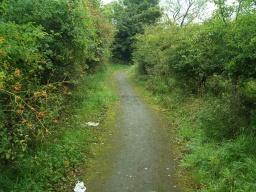 Image on trail