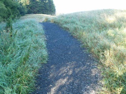 Image on trail