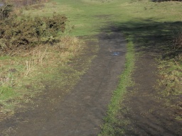 Image on trail