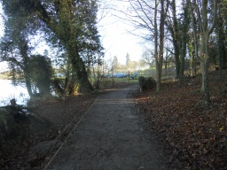 Image on trail