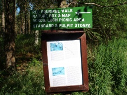 Image on trail