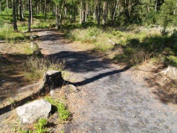 Image on trail