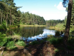 Image on trail