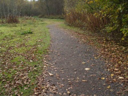 Image on trail