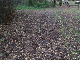 Image on trail