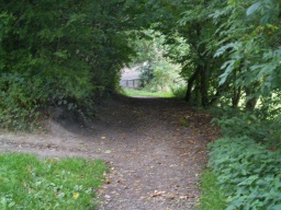 Image on trail