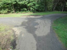 Image on trail