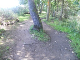 Image on trail