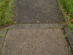 Image on trail