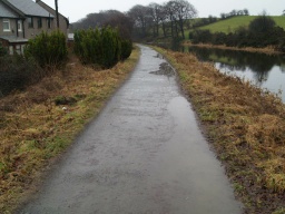 Image on trail