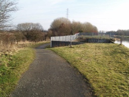 Image on trail