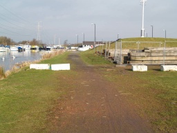 Image on trail