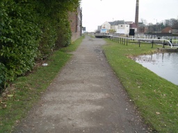Image on trail