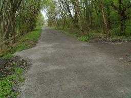 Image on trail