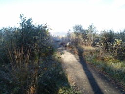 Image on trail