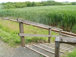 Image on trail