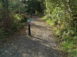 Image on trail