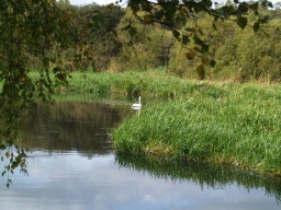 Image on trail