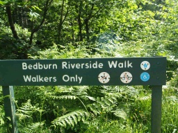 Image on trail
