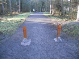 Image on trail