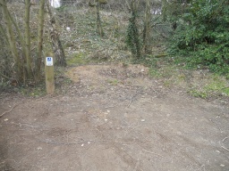 Image on trail