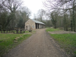 Image on trail