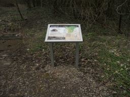 Image on trail